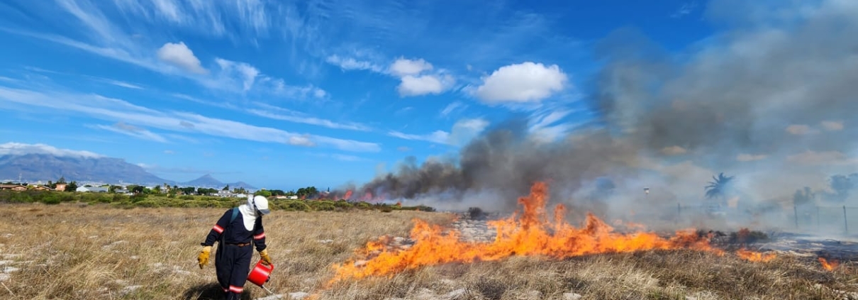 CoCT ecological burns - Cape Town fires