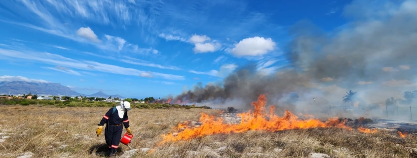 CoCT ecological burns - Cape Town fires